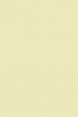 Pale Hound no. 71 - LAB COLOUR THE WORLD