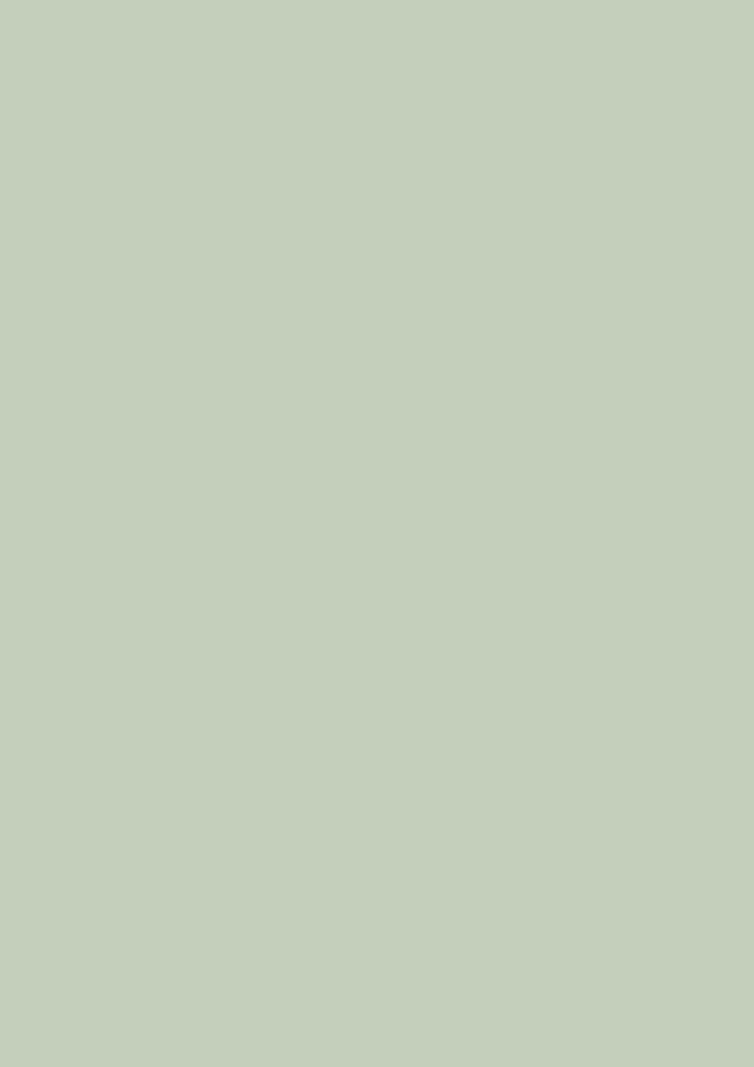 Palm No. CC4 - LAB COLOUR THE WORLD