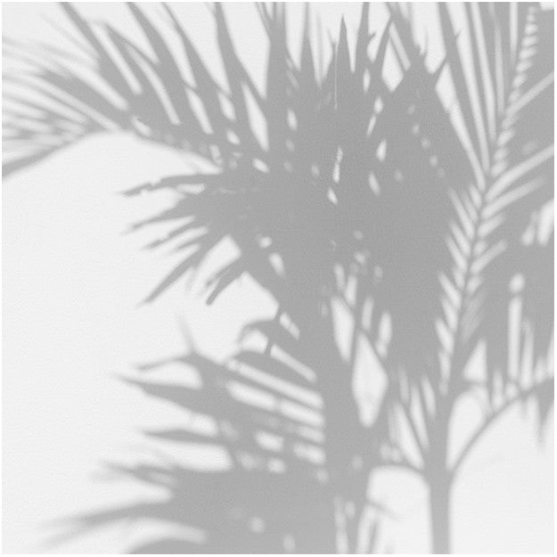 Les Dominotiers Palm Shadow Behang DOM 148
