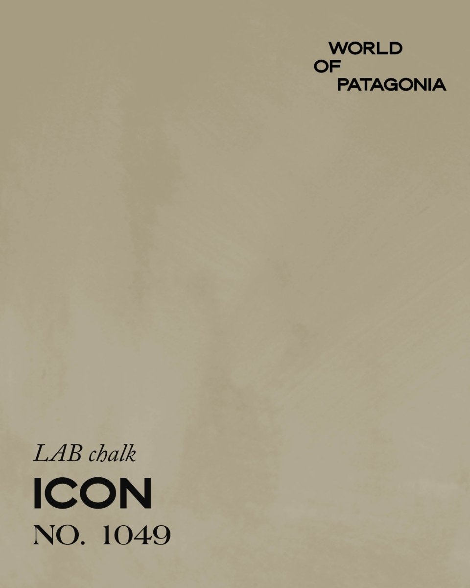 PATAGONIA ICON NO. 1049 - LAB COLOUR THE WORLD