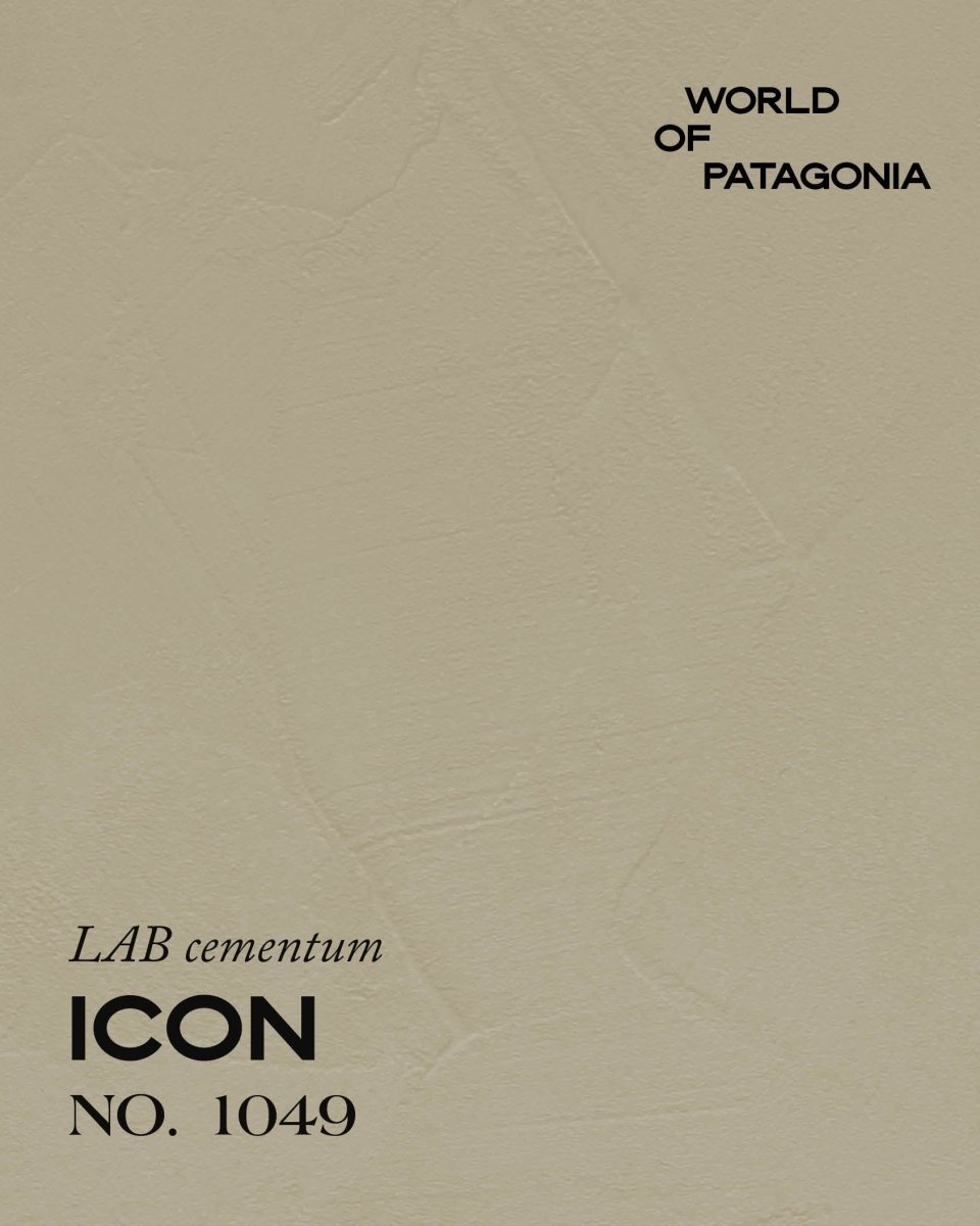 PATAGONIA ICON NO. 1049 - LAB COLOUR THE WORLD