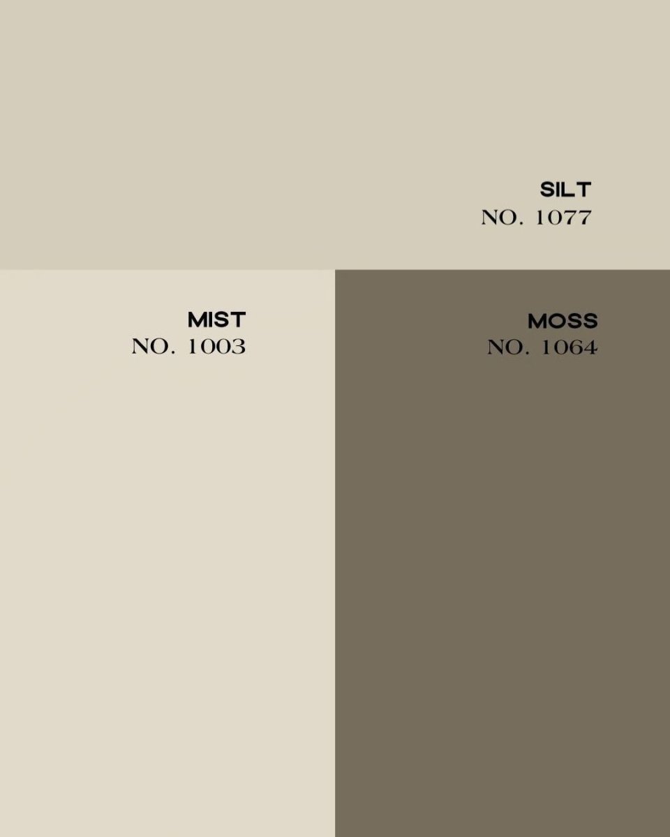 PATAGONIA SILT NO. 1077 - LAB COLOUR THE WORLD