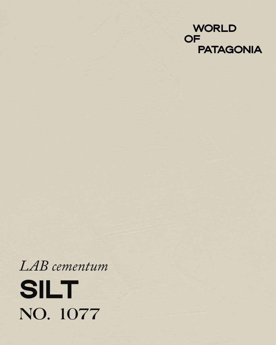 PATAGONIA SILT NO. 1077 - LAB COLOUR THE WORLD