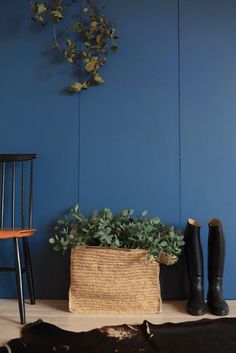 Pitch Blue no. 220 - LAB COLOUR THE WORLD