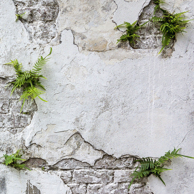 Les Dominotiers Plants & Brick Wall Blanc Et Vert Behang DOM 406