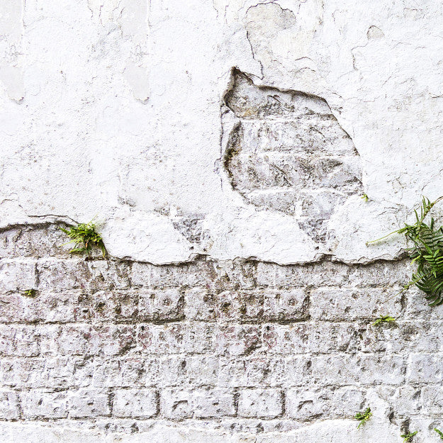 Les Dominotiers Plants & Brick Wall Blanc Et Vert Behang DOM 406