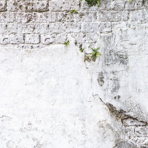 Les Dominotiers Plants & Brick Wall Blanc Et Vert Behang DOM 406