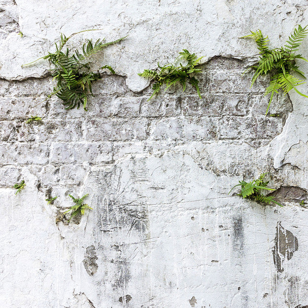 Les Dominotiers Plants & Brick Wall Blanc Et Vert Behang DOM 406