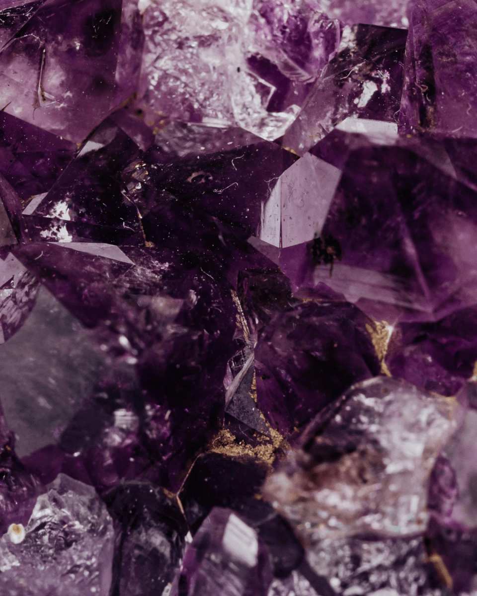 PURPLE PALACE NO. 301 - LAB COLOUR THE WORLD