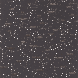 Ralph Lauren Starry Sky Behang PRL5041/02 - LAB COLOUR THE WORLD
