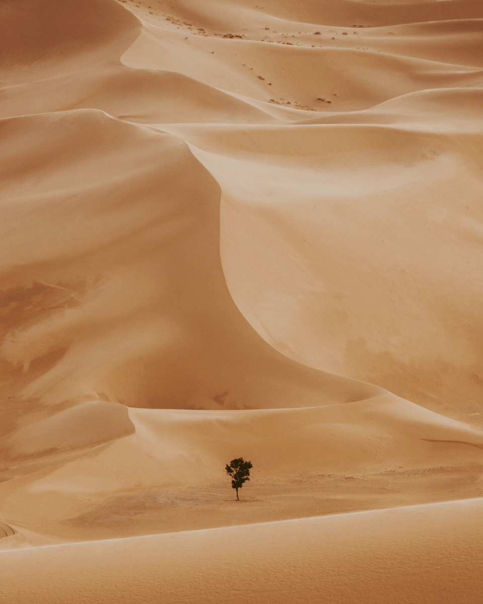 SAHARA VIBE NO. 18 - LAB COLOUR THE WORLD