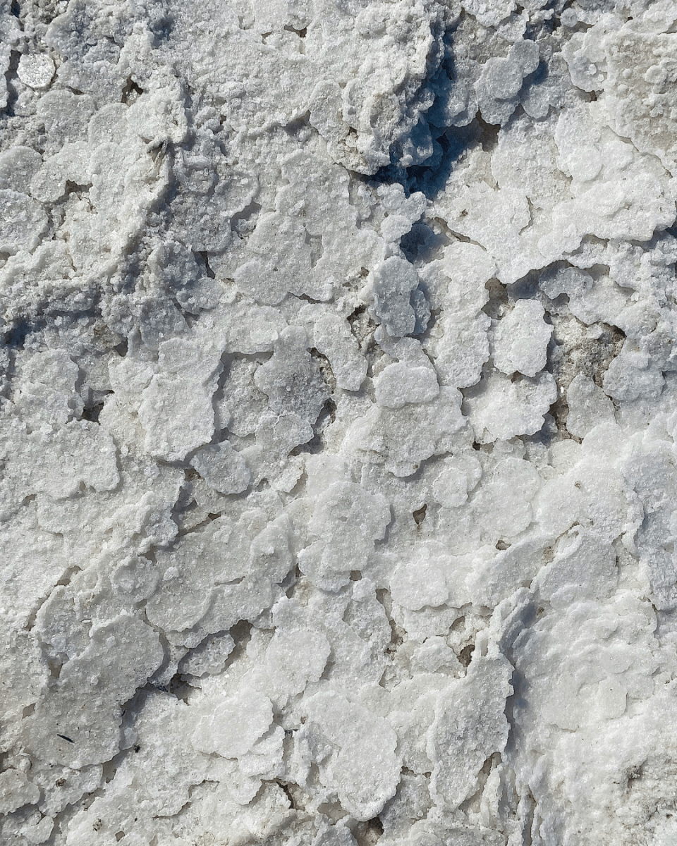 SALT NO. 121 - LAB COLOUR THE WORLD