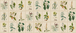 Sandberg Flora Behang S10598 - LAB COLOUR THE WORLD