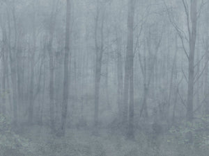 Sandberg Skog Behang S10106 - LAB COLOUR THE WORLD