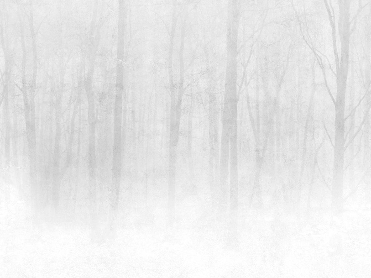 Sandberg Vinterskog Behang 622-18 - LAB COLOUR THE WORLD
