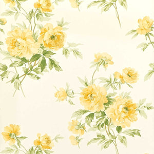 Sanderson Adele Behang DCAVAD102 - LAB COLOUR THE WORLD