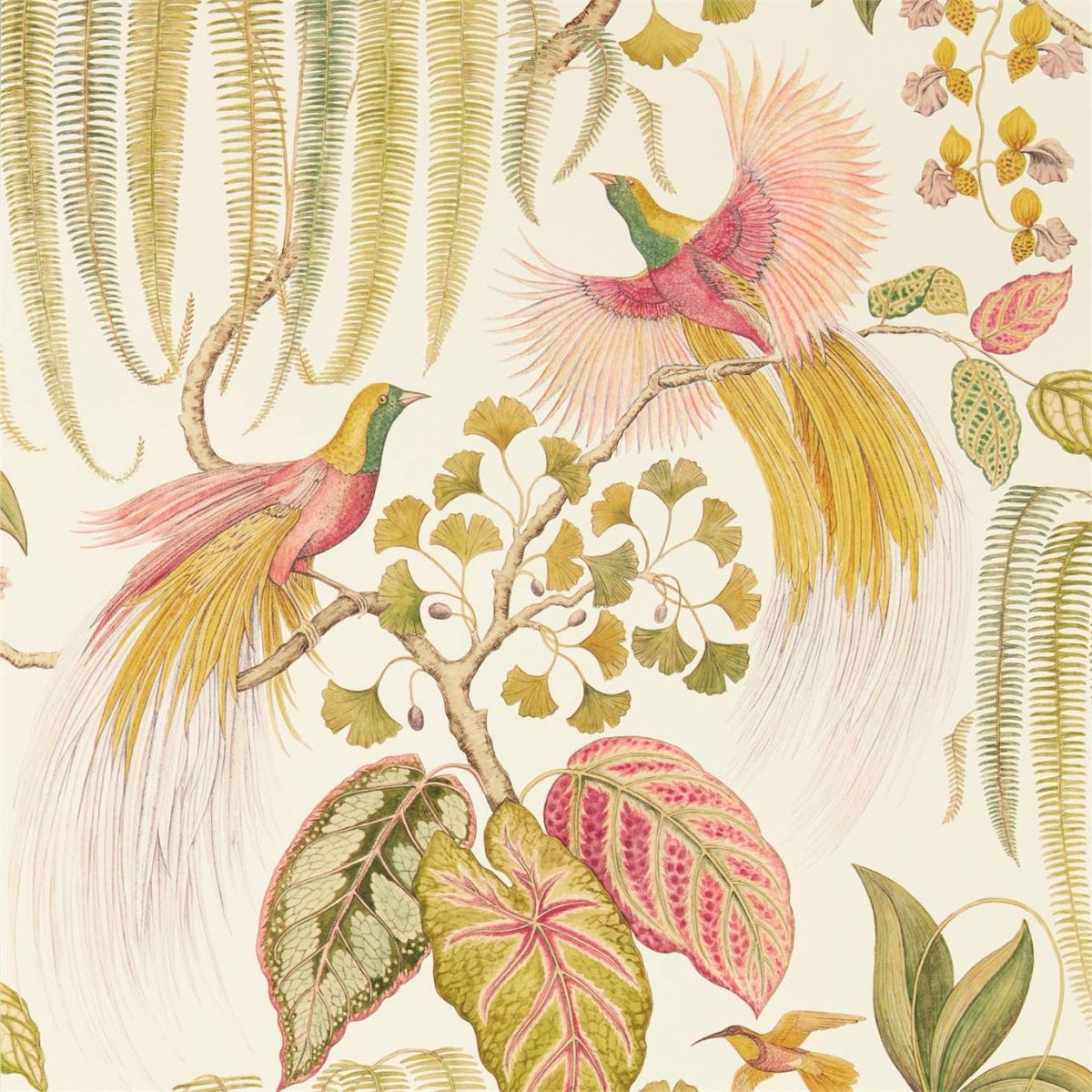 Sanderson Bird of Paradise Behang 216653 - LAB COLOUR THE WORLD