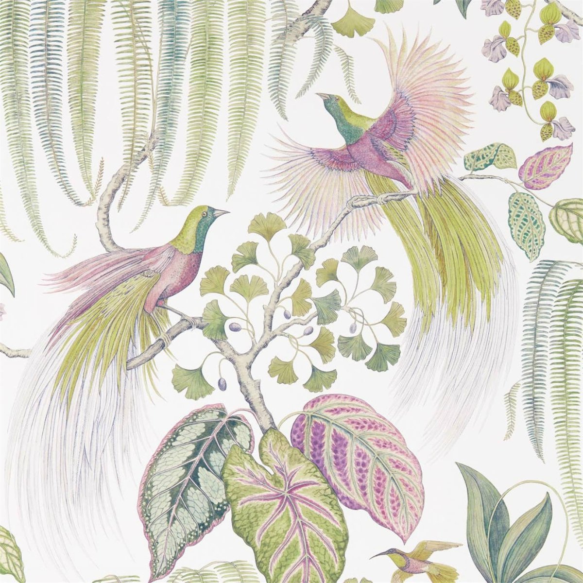 Sanderson Bird of Paradise Behang 216654 - LAB COLOUR THE WORLD