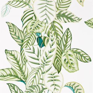 Sanderson Calathea Behang 216630 - LAB COLOUR THE WORLD
