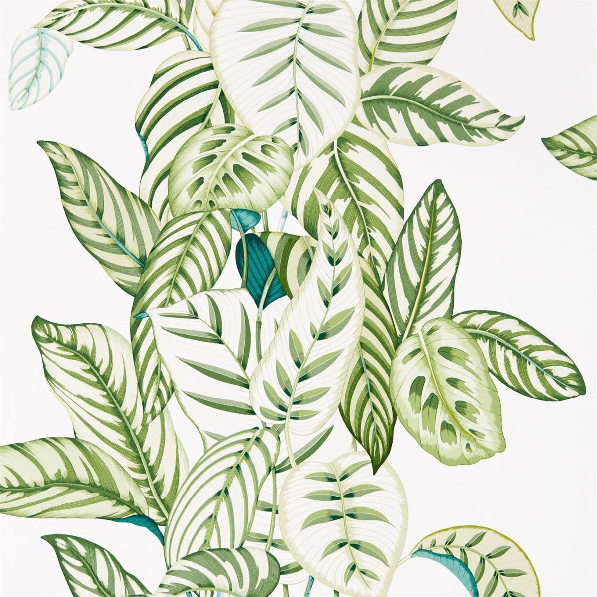 Sanderson Calathea Behang 216630 - LAB COLOUR THE WORLD