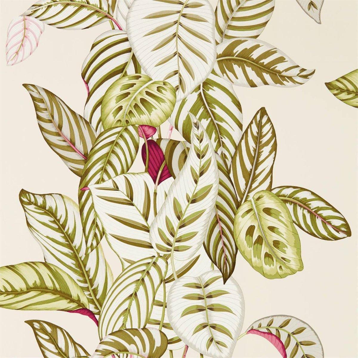 Sanderson Calathea Behang 216631 - LAB COLOUR THE WORLD