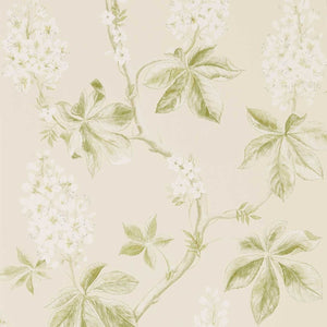 Sanderson Chestnut Tree Behang 215707 - LAB COLOUR THE WORLD