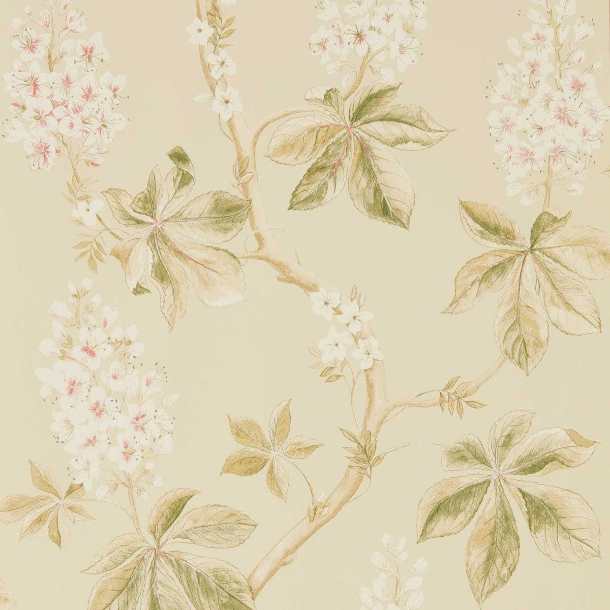 Sanderson Chestnut Tree Behang 215709 - LAB COLOUR THE WORLD