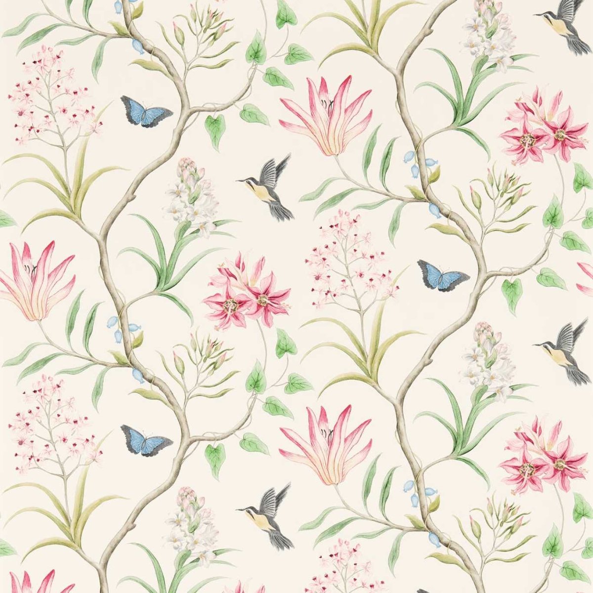 Sanderson Clementine Behang 213388 - LAB COLOUR THE WORLD