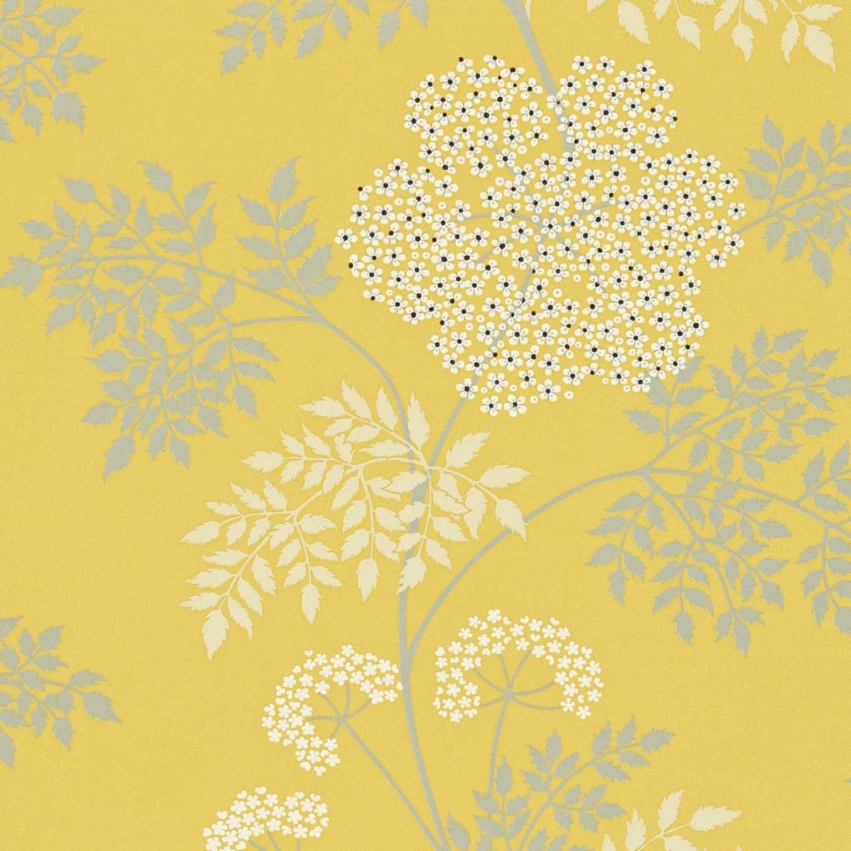 Sanderson Cowparsley Behang 105 - LAB COLOUR THE WORLD