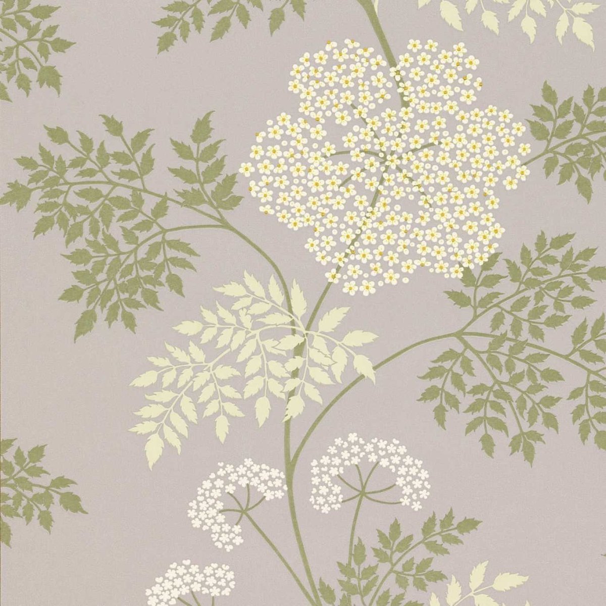 Sanderson Cowparsley Behang DOPWCO103 - LAB COLOUR THE WORLD