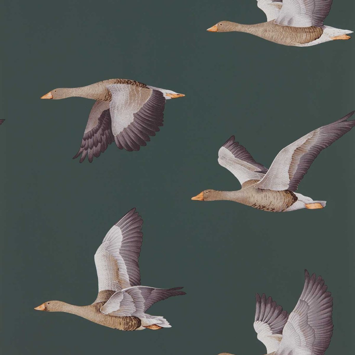 Sanderson Elysian Geese Behang 216608 - LAB COLOUR THE WORLD