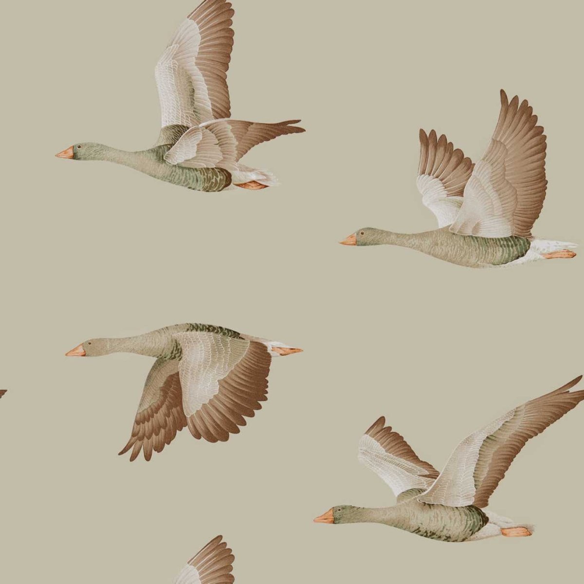 Sanderson Elysian Geese Behang 216609 - LAB COLOUR THE WORLD
