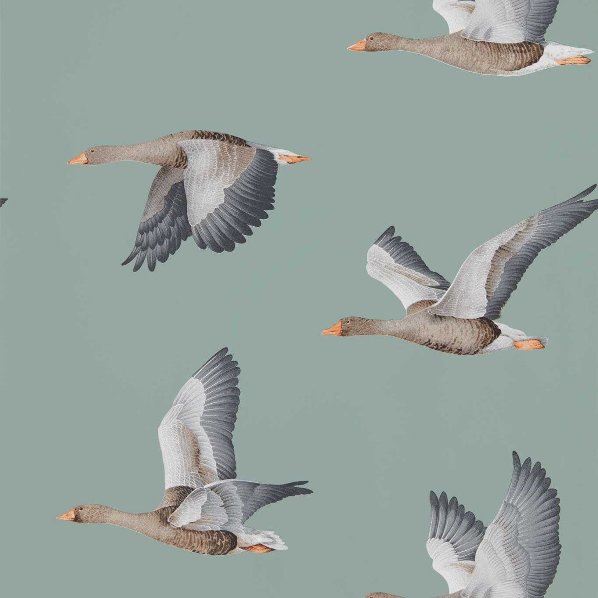 Sanderson Elysian Geese Behang 216610 - LAB COLOUR THE WORLD