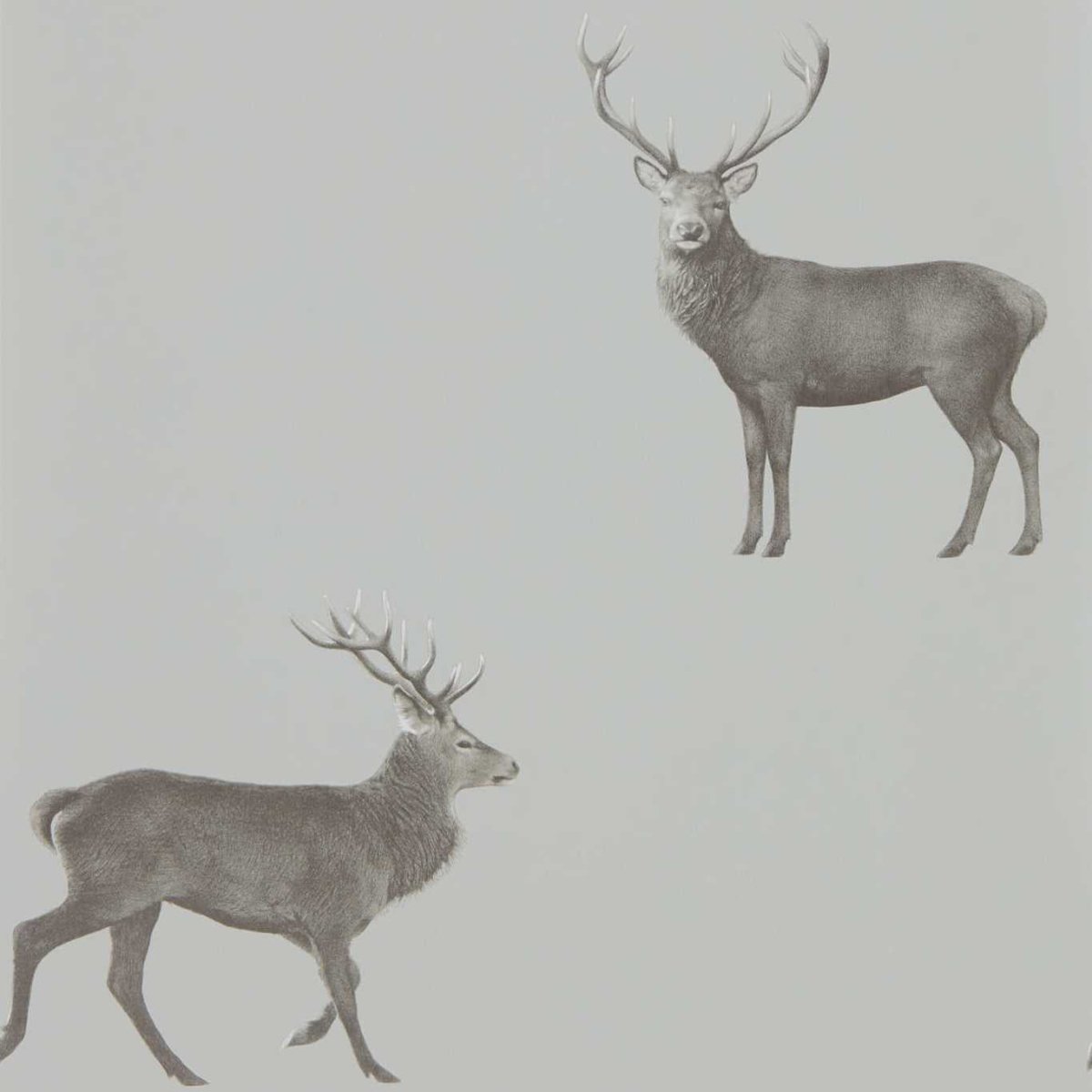 Sanderson Evesham Deer Behang 216619 - LAB COLOUR THE WORLD