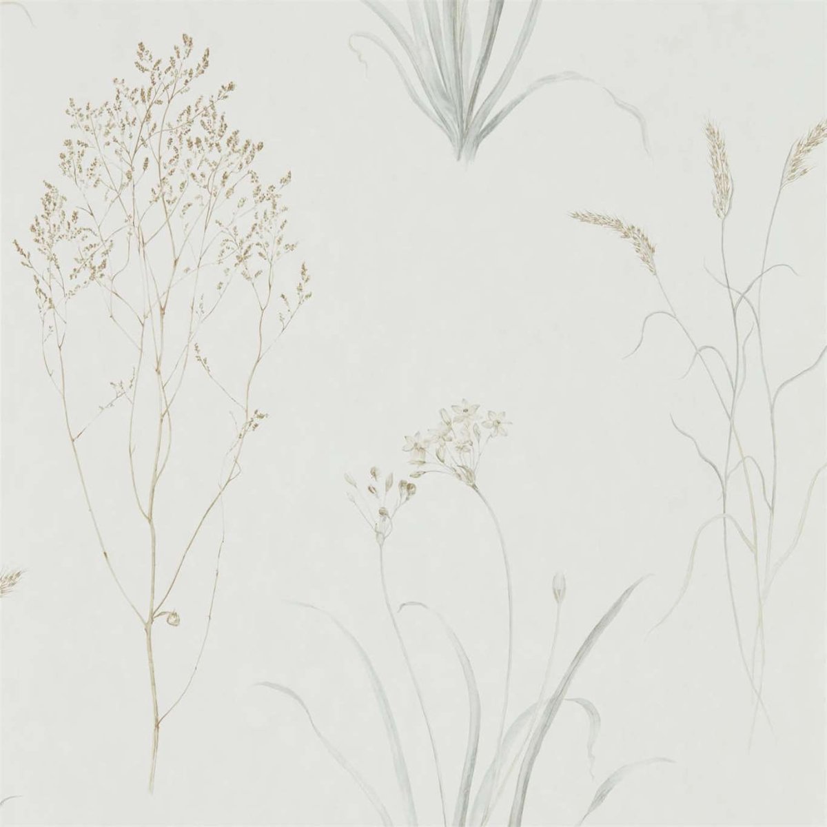 Sanderson Farne Grasses Behang 216487 - LAB COLOUR THE WORLD