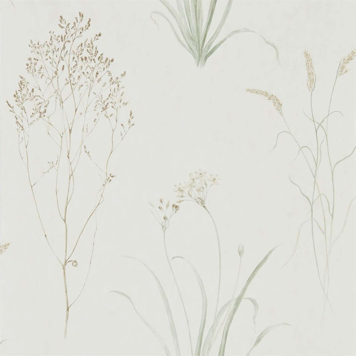 Sanderson Farne Grasses Behang 216488 - LAB COLOUR THE WORLD