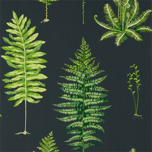 Sanderson Fernery Behang 216634 - LAB COLOUR THE WORLD