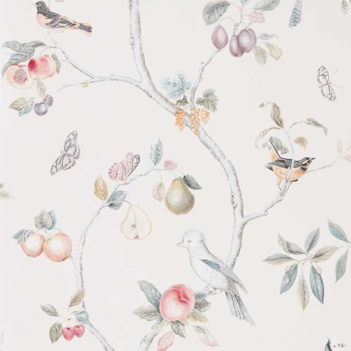 Sanderson Fruit Aviary Behang 216314 - LAB COLOUR THE WORLD