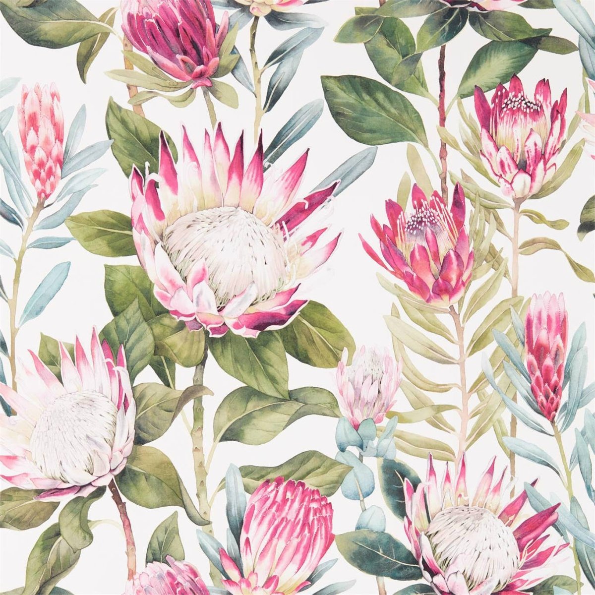 Sanderson King Protea Behang 216646 - LAB COLOUR THE WORLD