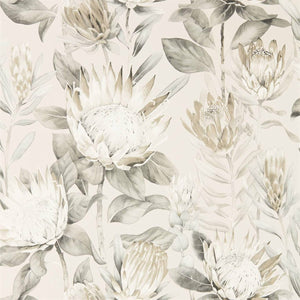 Sanderson King Protea Behang 216647 - LAB COLOUR THE WORLD