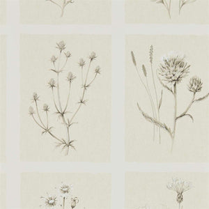 Sanderson Little Thistles Behang 216511 - LAB COLOUR THE WORLD