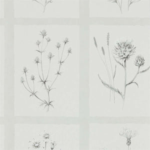 Sanderson Little Thistles Behang 216512 - LAB COLOUR THE WORLD