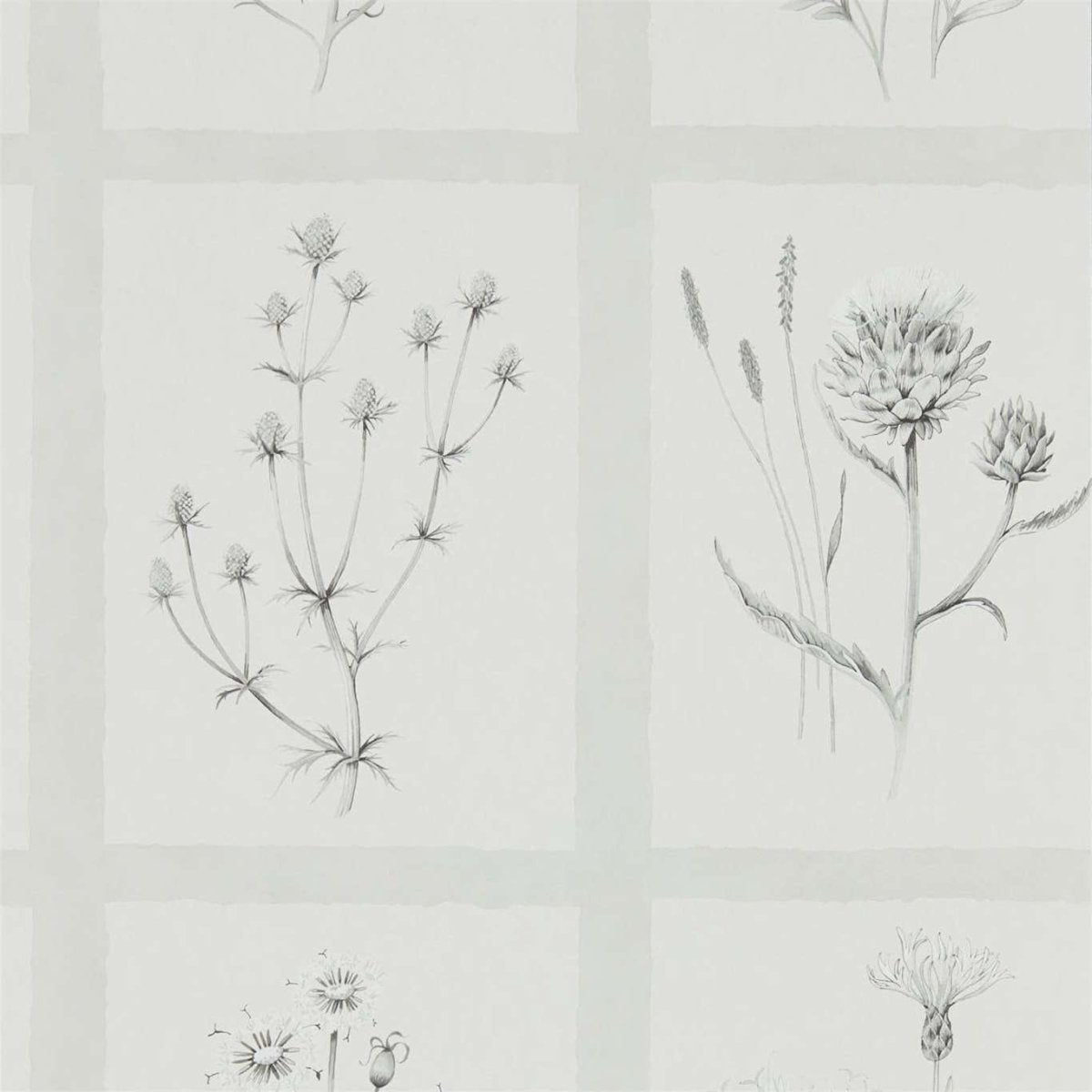 Sanderson Little Thistles Behang 216512 - LAB COLOUR THE WORLD