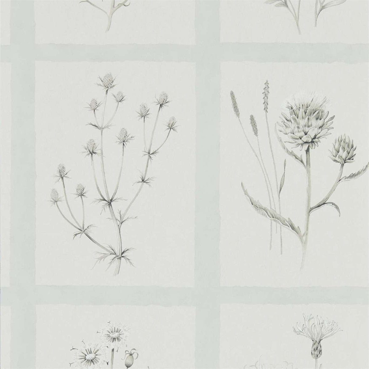 Sanderson Little Thistles Behang 216513 - LAB COLOUR THE WORLD