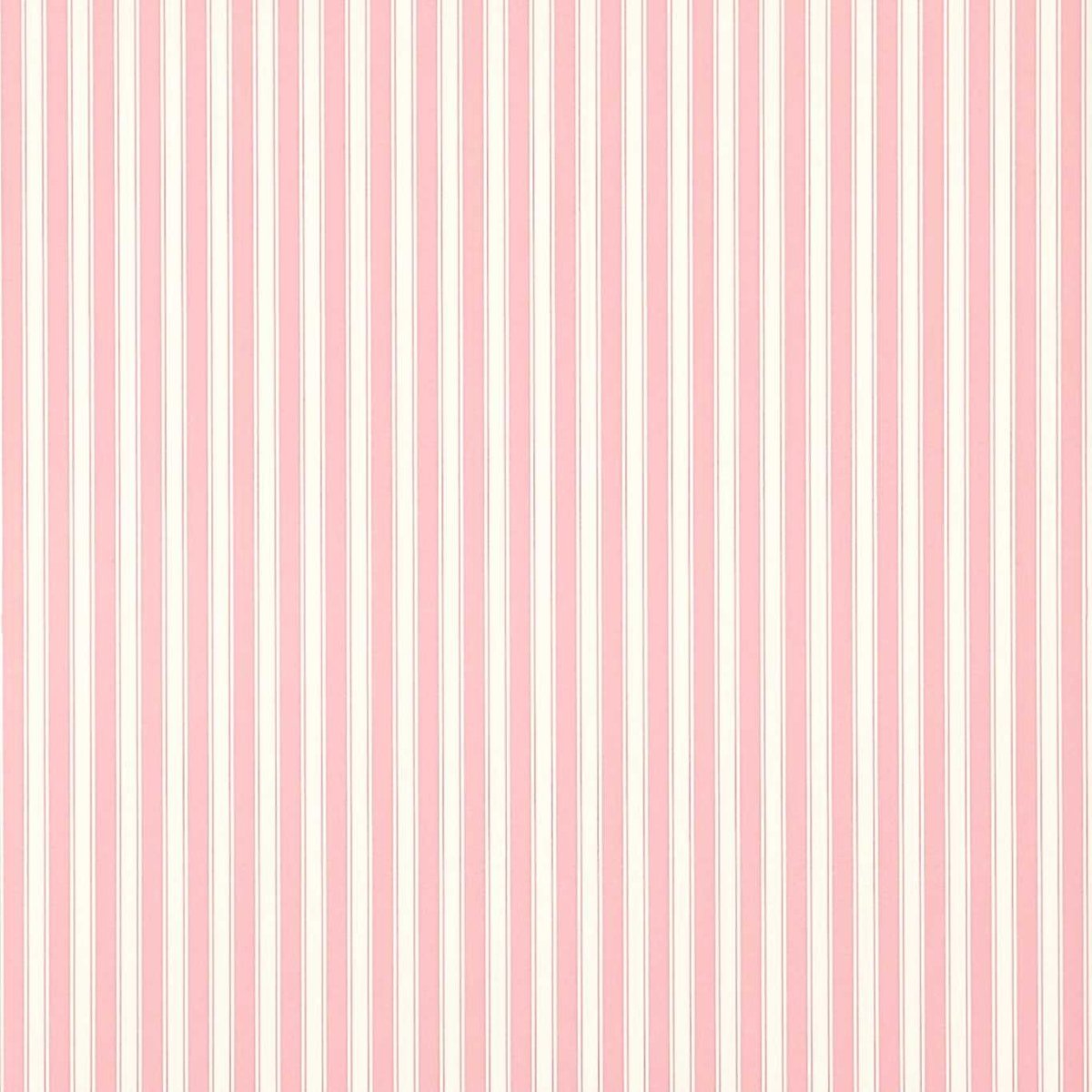 Sanderson New Tiger Stripe Behang DCAVTP101 - LAB COLOUR THE WORLD