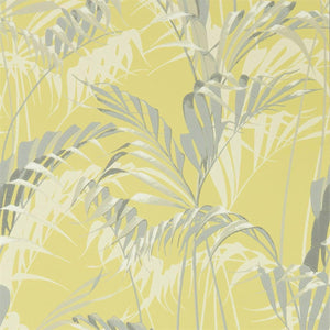 Sanderson Palm House Behang 216642 - LAB COLOUR THE WORLD