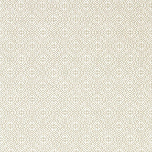 Sanderson Pinjara Trellis Behang 216784 - LAB COLOUR THE WORLD