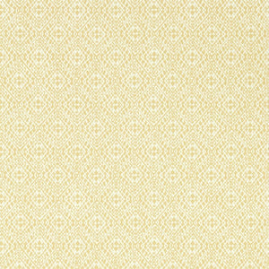 Sanderson Pinjara Trellis Behang 216786 - LAB COLOUR THE WORLD
