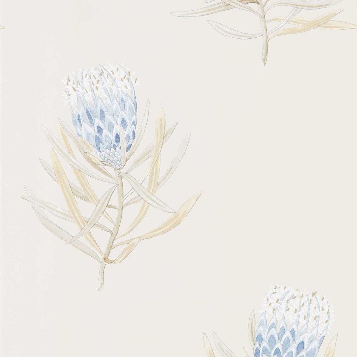 Sanderson Protea Flower Behang 216327 - LAB COLOUR THE WORLD