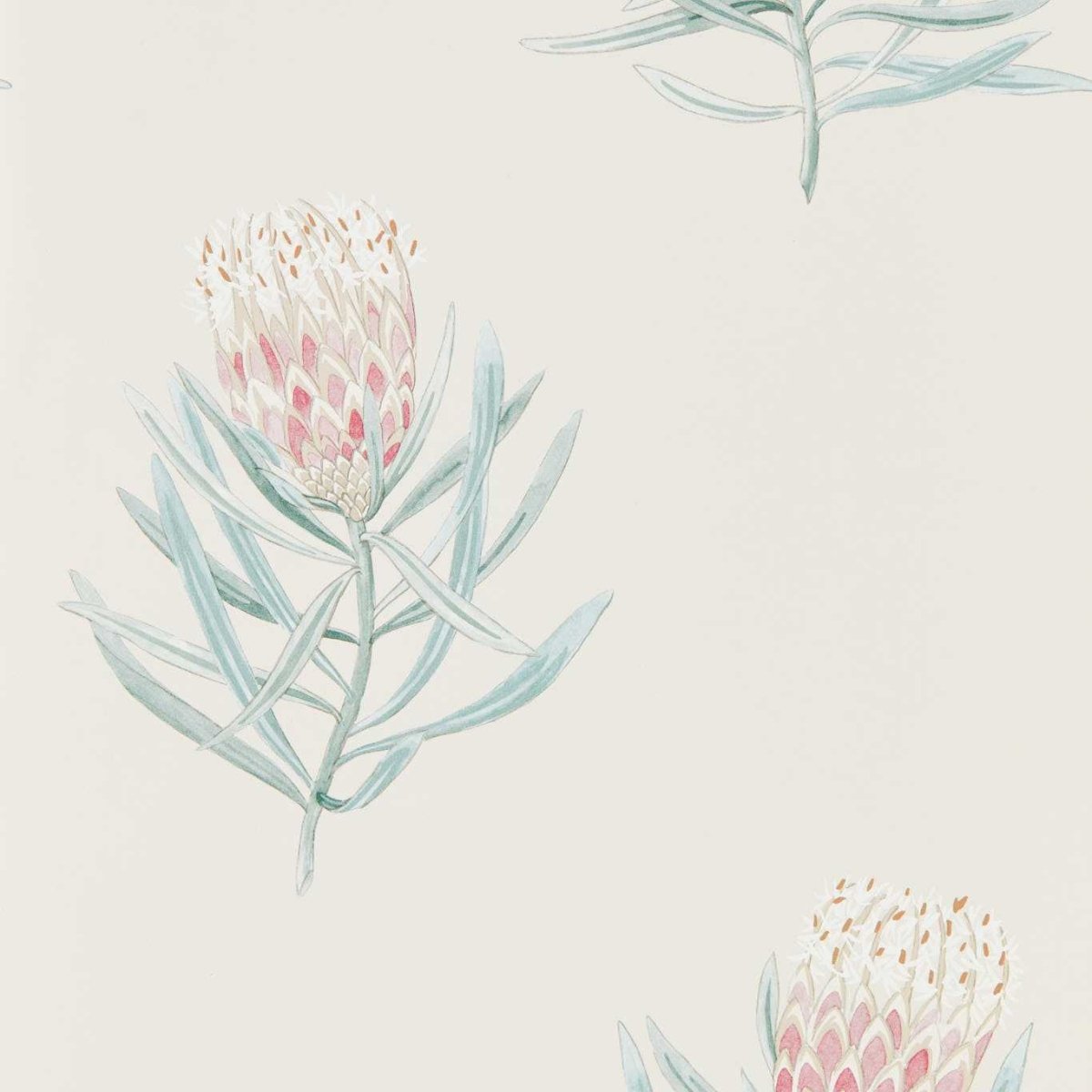 Sanderson Protea Flower Behang 216330 - LAB COLOUR THE WORLD